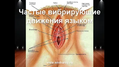 Porn Picture