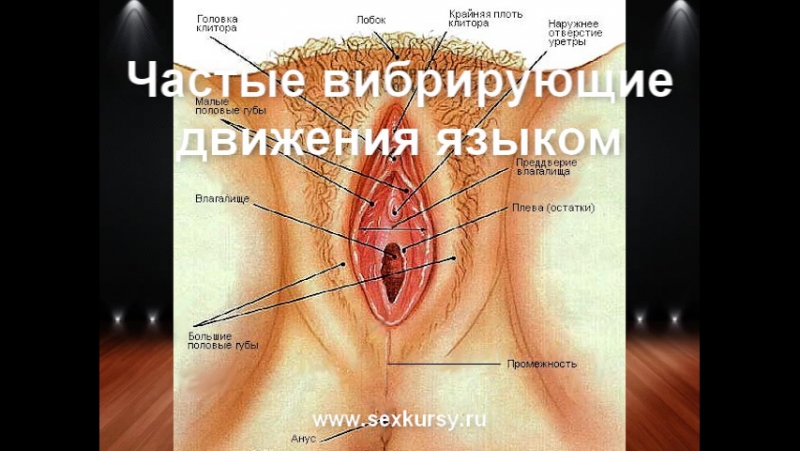 Lickбез: подробный гайд по куннилингусу