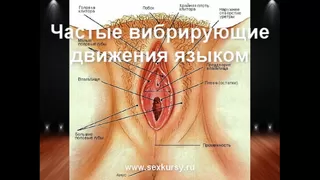 Порно видео уроки кунилингус