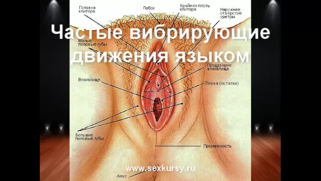 Секс и Ислам. Что разрешено и запрещено?