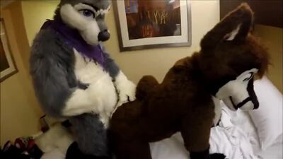 Gay Furry Dreams 24
