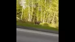 Серпухов порно видео. Смотреть серпухов онлайн