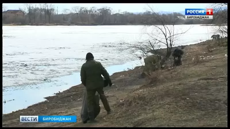 Город Биробиджан домашний порно видео ❤️ смотреть онлайн секс видео