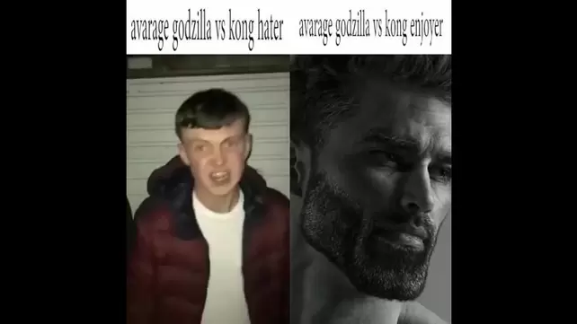 Average Fan VS Average Enjoyer Original Template 2K 60FPS  