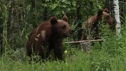 Порно видео секс шоп ачинск, стр. 2