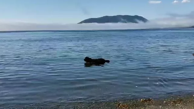 Порно видео: голая оксана