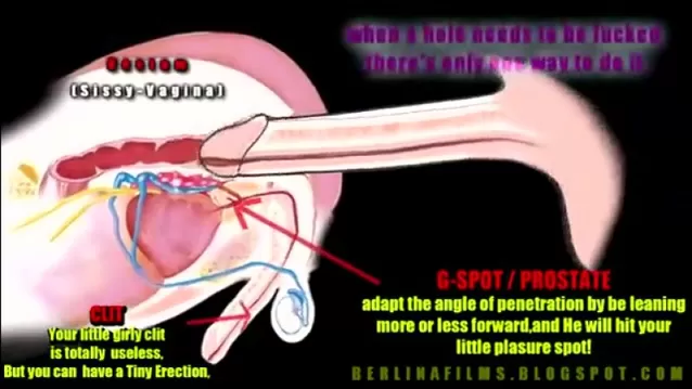 Трансы кончают в попу транса порно видео — prostasex