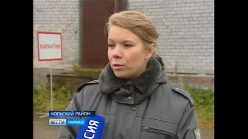 10.10.2019 State Television and Radio Broadcasting Company Murman A training exercise to eliminate an outbreak of avian influenza took place in the Kola Arctic  